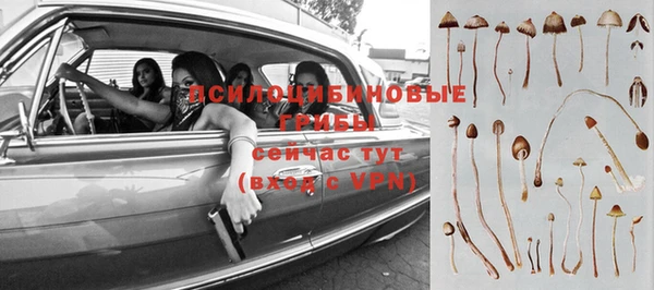 крисы Осинники
