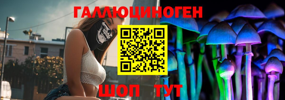 цена наркотик  Вход с VPN  Ржев  Псилоцибиновые грибы прущие грибы 